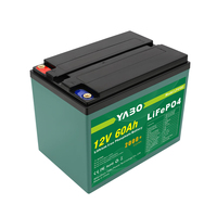 Batterie au lithium LiFePO4 haute puissance à décharge profonde 12V 60Ah pour les systèmes de stockage d'énergie solaire