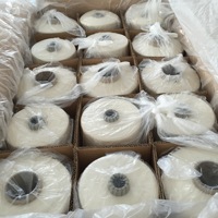 Wholesale Mulberry Raw Silk Yarn 120nm/2 Stock Supply Custom Yarn Dyed 100% Spun Silk Yarn
