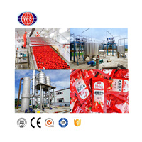 Small Tomato Ketchup Making Machine, Processing Line Output