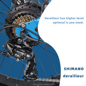 Bicicleta Eléctrica Personalizada OEM de 7 Velocidades, 48v, Neumáticos Gruesos, Estilo Playa, Frenos Hidráulicos de 52V, 26 Pulgadas, Hummer, 750W - Product Image 3