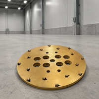 Plaque de meulage diamantée PCD de 250 mm (10 pouces) à 16 segments pour machine à meuler les sols, disque de décapage de peinture époxy pour revêtements de sol