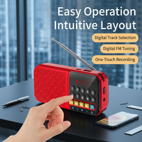 Tragbarer Mini-Digitallautsprecher mit FM-Radio, Bildschirm, Taschenlampe, Musikplayer, Stereo-Sound für 5.0 Powerbank & Wecker