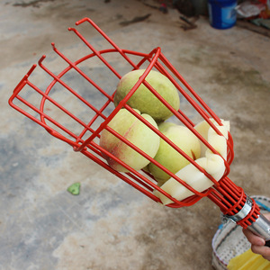 高所用ロングハンドルポールバスケットマンゴーアップルガーデン伸縮式フルーツピッカー - Product Image 5