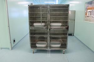 Premium 4 Bölmeli Veteriner Kedi Kafesi Paslanmaz Çelik Kedi Kafesi, Kedi Tuvaleti ve Üniversal Frenli Tekerlekler ile - Product Image 3