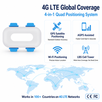 Traceur GPS pour chat G67 avec logo personnalisé, 4G, étanche, petit format, localisation en temps réel via application, surveillance de l'activité de l'animal