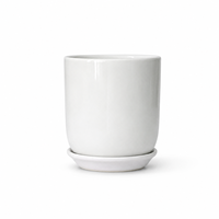 Vente en gros de pots de fleurs blancs simples pour plantes succulentes, décoration intérieure et extérieure, pots de jardin, moules pour pots de fleurs
