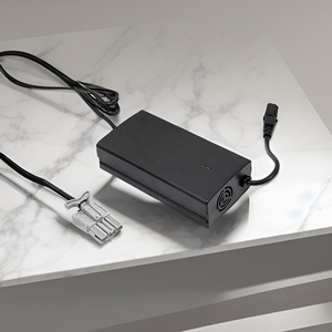 Caricabatterie Universale per Scooter Elettrici con Design Ignifugo, <span class=keywords><strong>Ricarica</strong></span> Rapida QC3.0, Uscita 327W per Batterie <span class=keywords><strong>Ho</strong></span> (Aa e Aaa) - Product Image 1