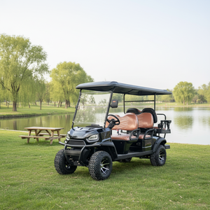 Voiture <span class=keywords><strong>de</strong></span> golf Black Knight électrique, nouvelle énergie, parcours, complexe hôtelier, 4x4, batterie au lithium, super puissance - Product Image 1