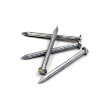 Ongles communs automatiques de prix direct d'usine faisant des articles de matériel de machine en Chine ongles communs ongles communs duplex