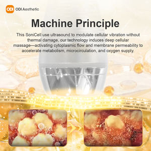 नई आगमन फेस लिफ्टिंग डिवाइस त्वचा सख्त सफेद करने के लिए 1mhz 3mhz 10mhz 3mhz 10mhz ट्रिपल ulstning इलेक्ट्रोपोरेशन मशीन - Product Image 6