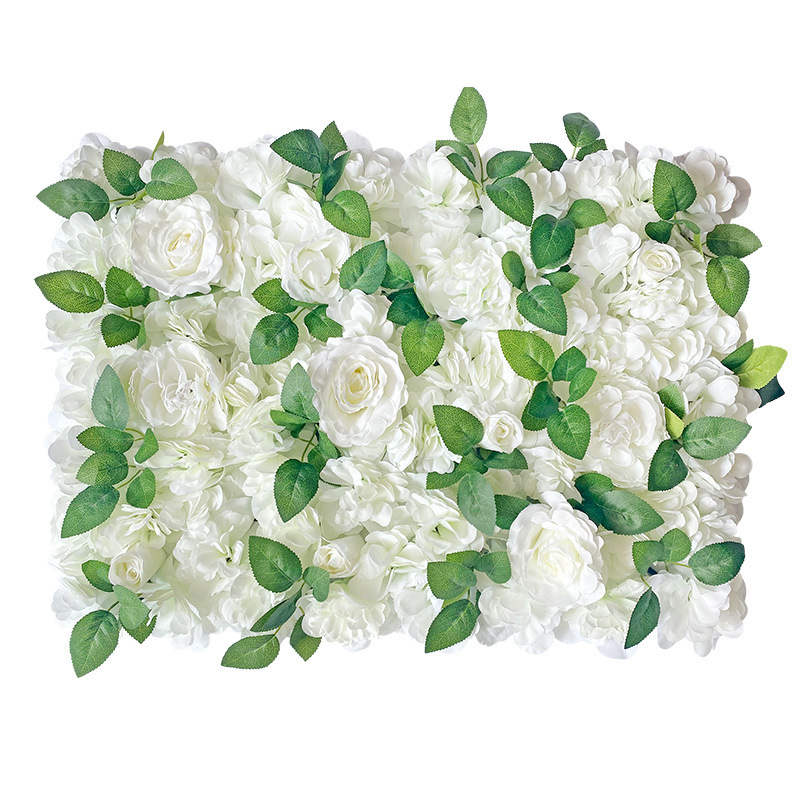 Mur de Rose blanche avec des feuilles