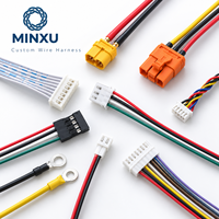 Ensemble de faisceaux de câbles 20-28AWG avec connecteur 2-10 broches, câblage électrique personnalisé OEM avec bornes à sertir