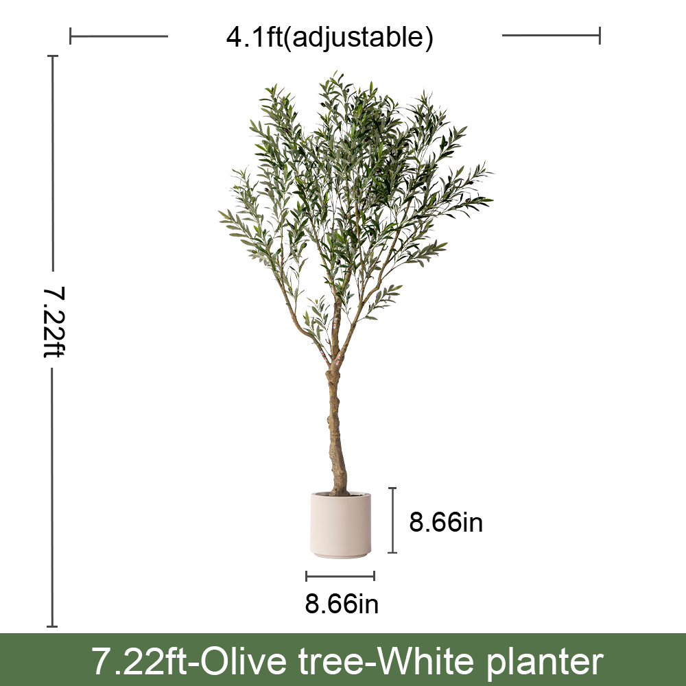 7.2FT/220CM B