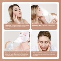 Brumisateur hydratant pour le visage Dolphin, vaporisateur nano, humidificateur