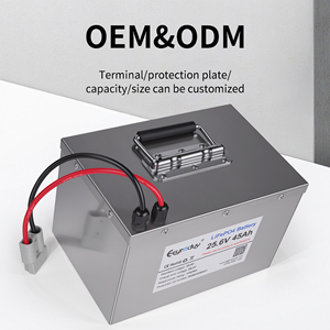 LiFePO4 배터리 팩 25.6V 45Ah 1152Wh 맞춤형 블루투스 BMS 및 방수 케이스 포함 전기 오토바이 2/3륜용 - Product Image 2
