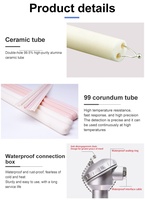 S Type Platinum Rhodium Thermocouple PtRh10 1600℃ High Temperature Sensor With 99% Ceramic Tube for Kiln Muffle Tube Furnace
