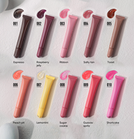 Rouge à lèvres liquide nacré BLIW Private Label 10g, plusieurs couleurs disponibles, waterproof, hydratant, maquillage beauté