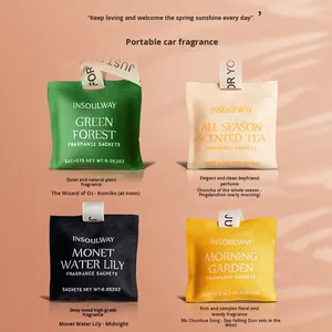 Ambientador Moderno para Coche, <span class=keywords><strong>Perfume</strong></span> de Hotel para Todas las Estaciones, Bolsa Rectangular para Salida de Aire Acondicionado, Fragancia Duradera, Empaque - Product Image 3