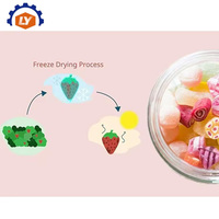 30kg Fruit Liofilisator Machine Klein Mini Laboratorium Vacuüm Thuis Voedsel Vriesdroogapparaat