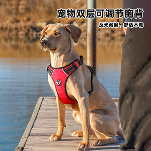 Arnés para mascotas, chaleco ajustable, transpirable, reflectante, para perros grandes, talla L XL - Product Image 3