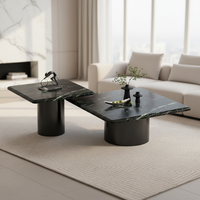 Table basse de salon ronde haut de gamme en acier inoxydable et marbre naturel, style minimaliste italien moderne, avec rangement