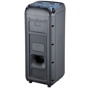 Altavoces DJ Portátiles de 8 Pulgadas con Subwoofer, Micrófono Inalámbrico, Carro, Luces LED RGB 5.3, Soporte para 2 Micrófonos, WIFI/AUX/RJ45 - Product Image 3
