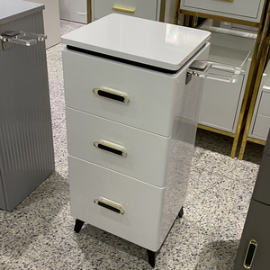 Moderne Luxe Professionele Kapsalon Apparatuur Werkende <span class=keywords><strong>Trolley</strong></span> 2 Laag Draagbare En Opvouwbare Sedan <span class=keywords><strong>Trolley</strong></span> Met Wiel - Product Image 1