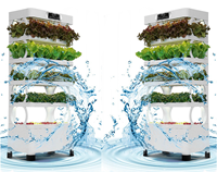 Système de culture hydroponique portable pour jardin d'intérieur décoratif, jardin de légumes à domicile, système de culture d'herbes, 24W avec éclairage de croissance