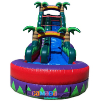 Toboggan aquatique gonflable géant commercial à succès pour adultes, château gonflable avec toboggan palmier, protection UV, ignifuge