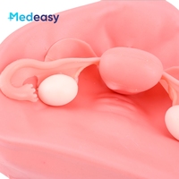 Modelo de Entrenamiento Pélvico Medeasy Factory para Simulador de Cirugía Ginecológica Laparoscópica con Entorno Pélvico de Hinchazón de Fibroides