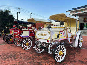 Fabricant de calèches royales électriques de luxe à quatre roues pour le tourisme, calèche électrique à vendre - Product Image 3