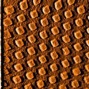 YIXIST YMP-6114 Microscope à <span class=keywords><strong>force</strong></span> <span class=keywords><strong>atomique</strong></span> (AFM) Kit de formation éducative Garantie 1 an Personnalisation ODM/OEM Spectral personnalisé - Product Image 4