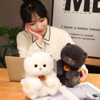 Peluche chaton mignon simulé, jouet en tissu doux pour filles et garçons, en coton PP lavé, design ODM, idéal pour soulager le stress