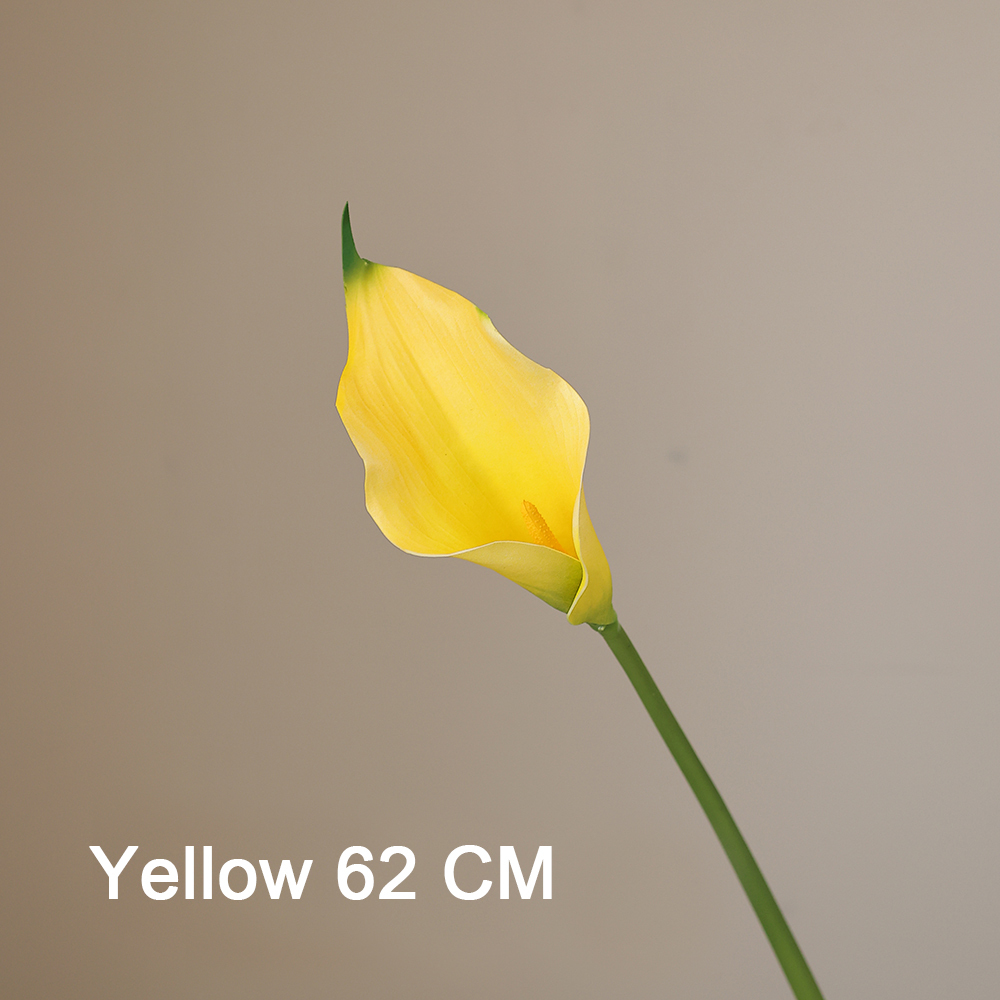 Giallo