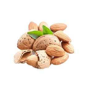 Etiqueta privada Orgánica Bitter Sweet Almond Oil Pure Natural <span class=keywords><strong>Comestible</strong></span> Nut Base Carrier para el cuidado del cabello y la piel Origen <span class=keywords><strong>de</strong></span> la semilla - Product Image 4