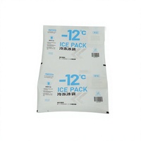 Ventes en gros de blocs de glace en gel réutilisables de haute qualité, personnalisés, 250 ml