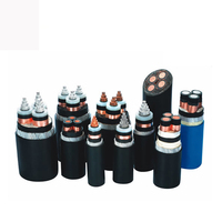 26kv 35kv 66kv 69kv 110kv 132kv 220kv 275kv 330kv High Electric Voltage XLPE Power Cables