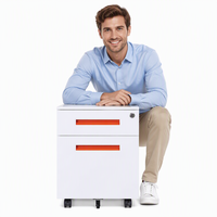 Meuble de bureau en acier, armoire mobile à 2 tiroirs, armoire d'appoint sous la table avec roulettes