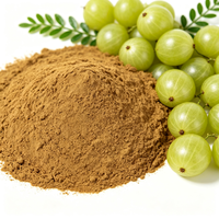 Poudre d'extrait de Phyllanthus Emblica, extrait naturel de baies d'Amla en vrac, matière première polyphénolique pour l'alimentation et les produits chimiques quotidiens