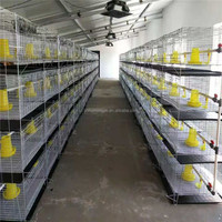 GREAT FARM Cage à cailles de type H pour poulets Cages à volailles automatiques fournies pour poulets pondeuses 3 couches 5 portes 3 ans Fermes de cailles