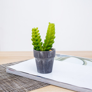 <span class=keywords><strong>Pas</strong></span> cher en gros mini <span class=keywords><strong>cactus</strong></span> extérieur assortiment d'intérieur arrangement artificielle plantes succulentes en pot ensemble - Product Image 1