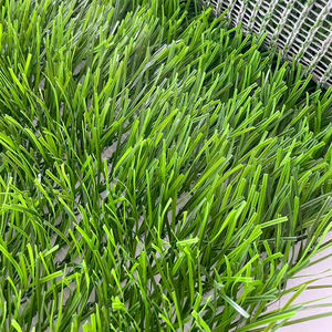 Tapis de terrain de football d'usine chinoise <span class=keywords><strong>pelouse</strong></span> <span class=keywords><strong>hybride</strong></span> gazon synthétique pour le football - Product Image 4