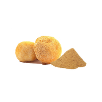 Extrait de champignon Crinière de lion de la meilleure qualité en poudre, bêta-D-glucane de qualité alimentaire, extraction liquide-solide, CAN/Fût, Durée de conservation de 2 ans