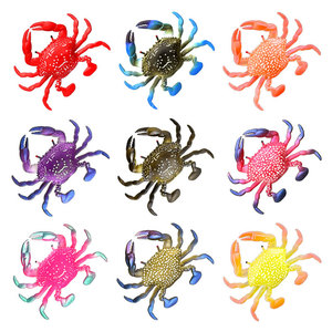 2 cái/túi 80mm/10g câu cá thu hút nổi TPR cua swimbait cá chép mồi Silicone mềm Shad wobblers Jig Worm Bass Pike - Product Image 2