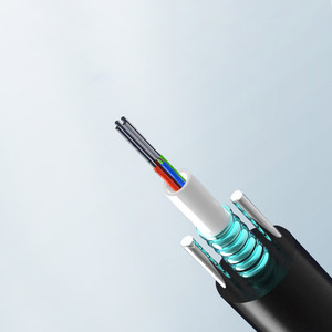 Tùy chỉnh chiều dài 10-1000m hoàn thành sợi quang vá dây 6.0mm 2-144 lõi lsoh bọc thép sợi cáp quang - Product Image 6