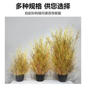 Planta Artificial de Hierba de Caña, Bonsái de 30cm-100cm de Altura, Simulación Realista, Decoración de Interiores, Vegetación - Product Image 4