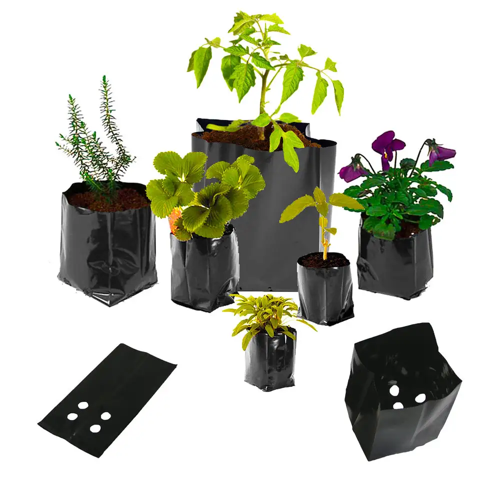 Kunden spezifische schwarze PE-Plastik pflanzen tasche für Sämling kindergarten tasche