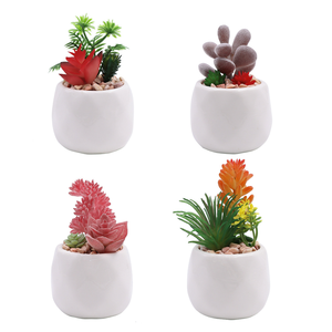 OFFERTA SPECIALE Set di 4 Piccoli <span class=keywords><strong>Fiori</strong></span> Artificiali di Succulente <span class=keywords><strong>Rosa</strong></span> in Vaso di Ceramica Bianca con Materiale PE per Decorazione Ufficio - Product Image 6