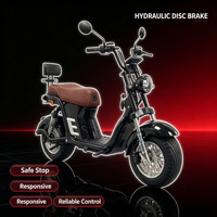 Vente en gros OEM : Trottinette électrique à pneus larges 60V 2000W, batterie LFP 20.8Ah, longue autonomie, Citycoco E-Scooter pour fournisseurs B2B