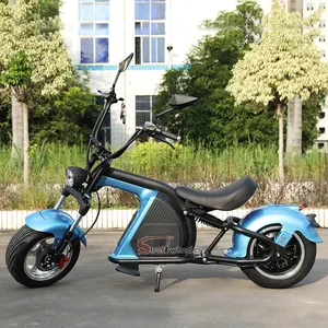 Holland Electric Scooter EEC COC Disetujui Citycoco 2 Ruote Scooter Listrik Baterai 60V 30ah Baterai